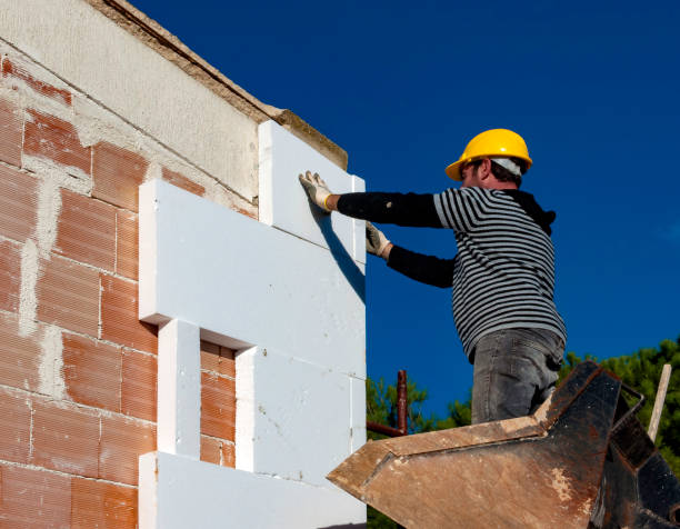 Best Insulation Replacement Services  in Rosharon, TX