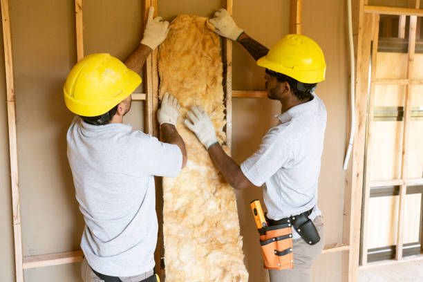 Best Insulation Contractor Near Me  in Rosharon, TX