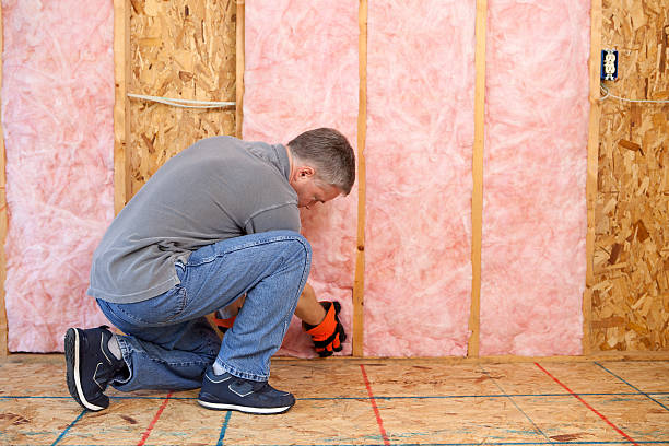 Best Crawl Space Insulation  in Rosharon, TX