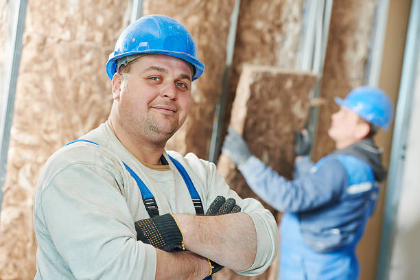 Best Attic Insulation Installation  in Rosharon, TX