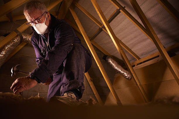 Best Fiberglass Insulation  in Rosharon, TX